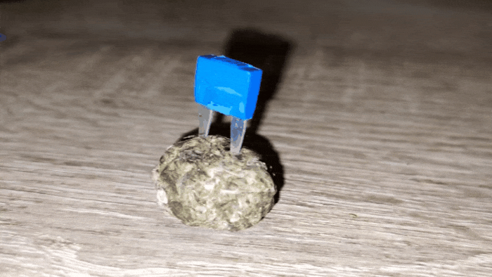 GIF-20250502-133624-796.gif