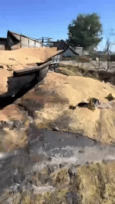https://i.postimg.cc/4NVtMZPd/video-2026-09-02-02-19-03-(1).gif