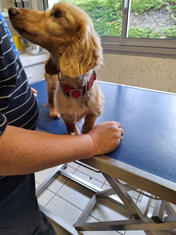 [Image: 20240419-172334.jpg]