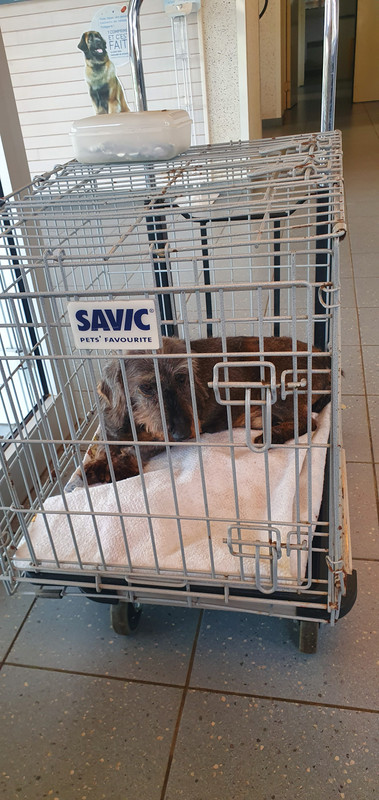 [Image: 20230331-160834.jpg]