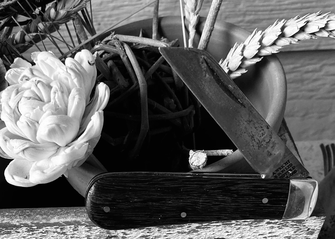 C93482BC-29DD-43FA-BF11-10CF265CB3CD_1_201_a