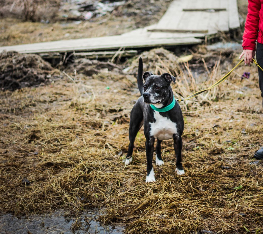 без имени-0461