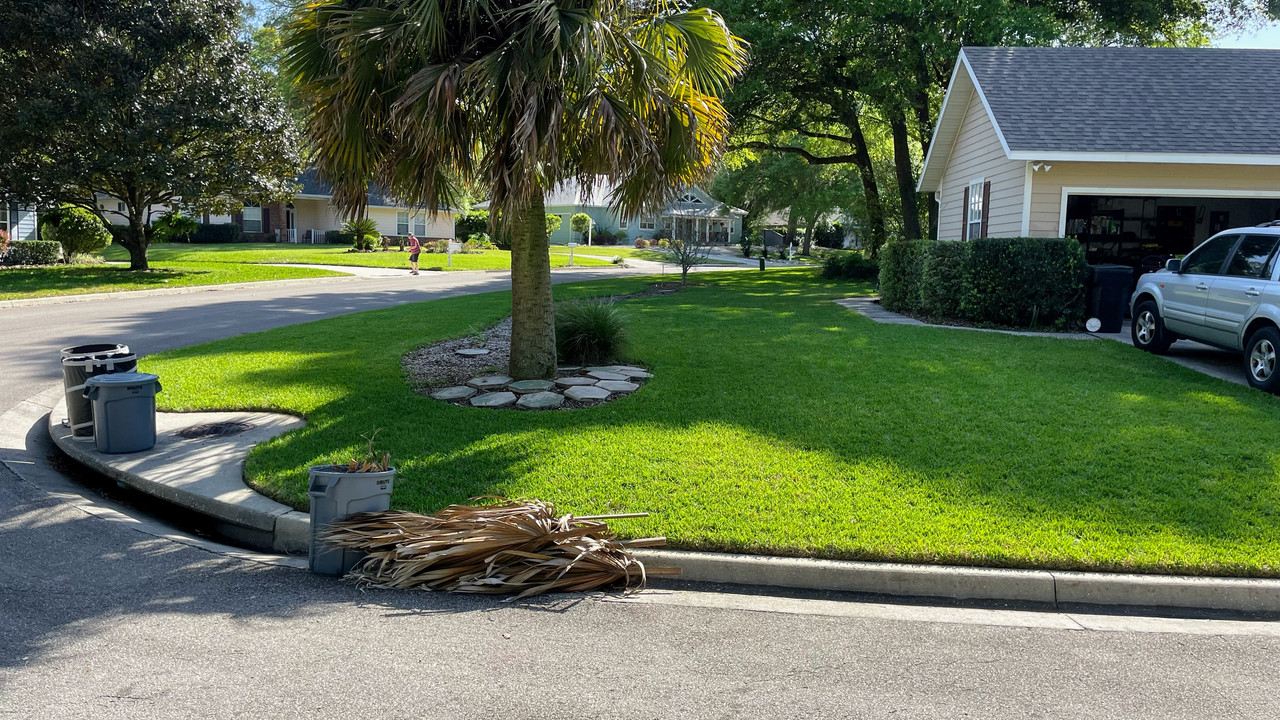 1CF95FBF-F482-4019-B910-60FC5BBC6B49