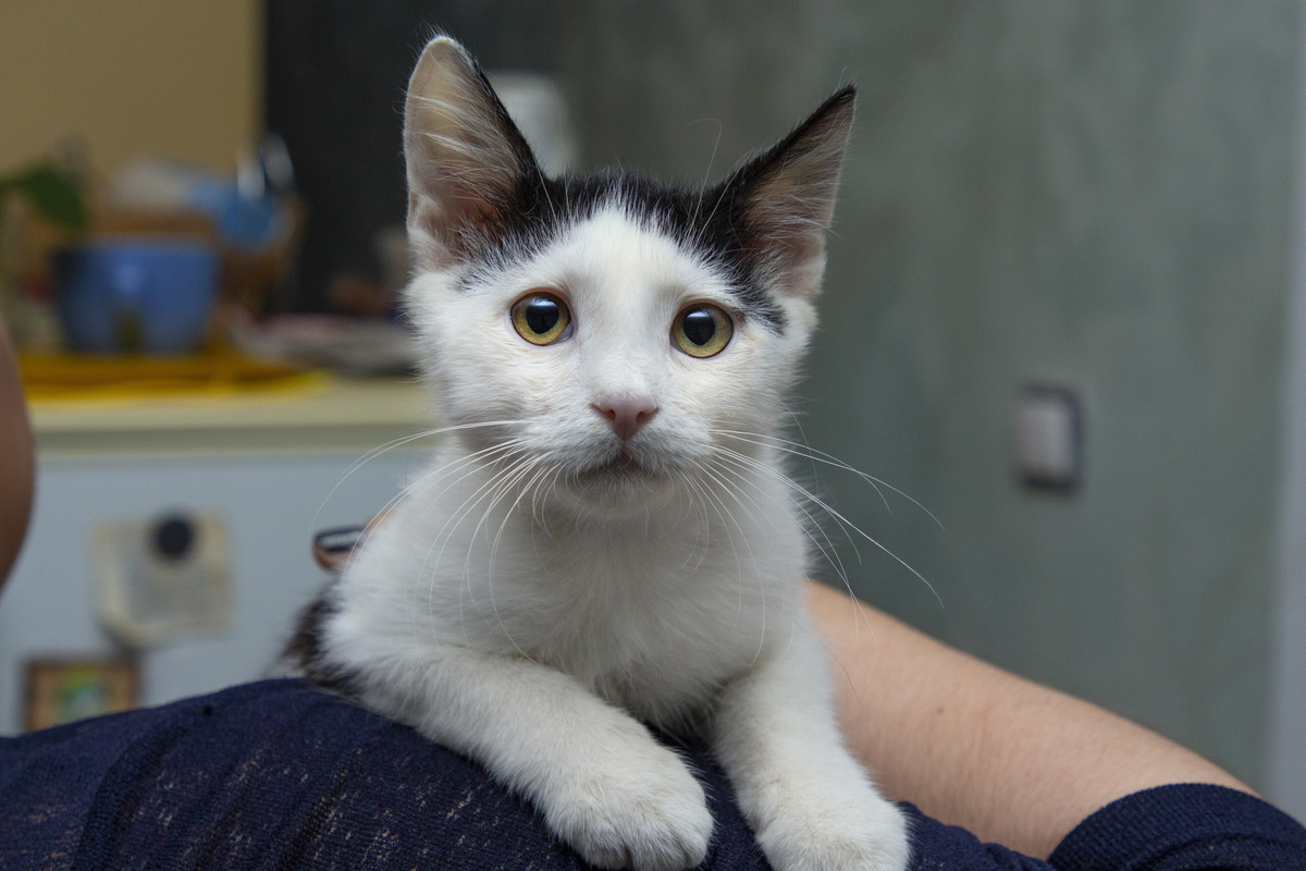 EFFE9DB2-BB85-48CF-AE07-406CFD564097