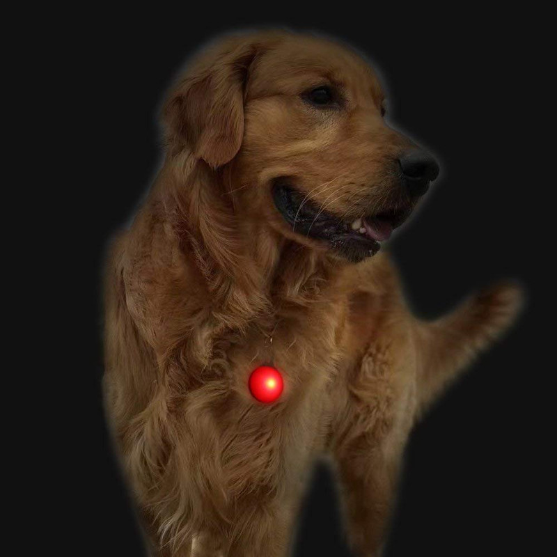 61TCuqE9iTL._SL1000_