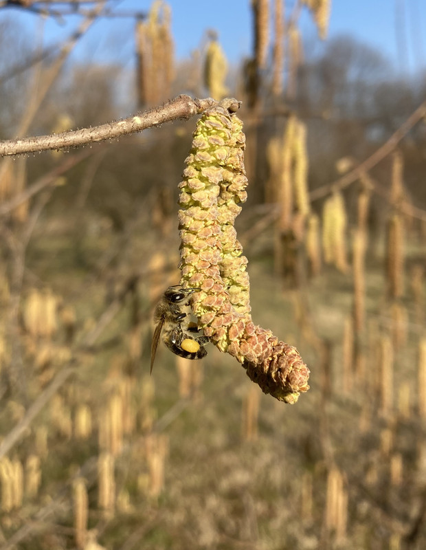 C16BDC70-BA12-4CAB-A3E0-9670262A4AC4