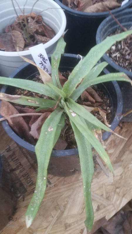 20200106_163943
