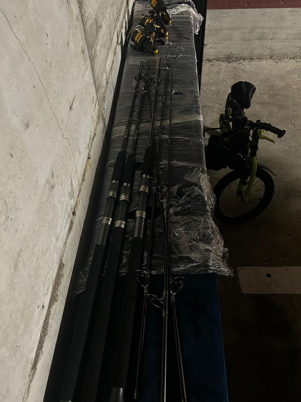 WhatsApp Image 2024-09-12 at 13.42.11 (1)