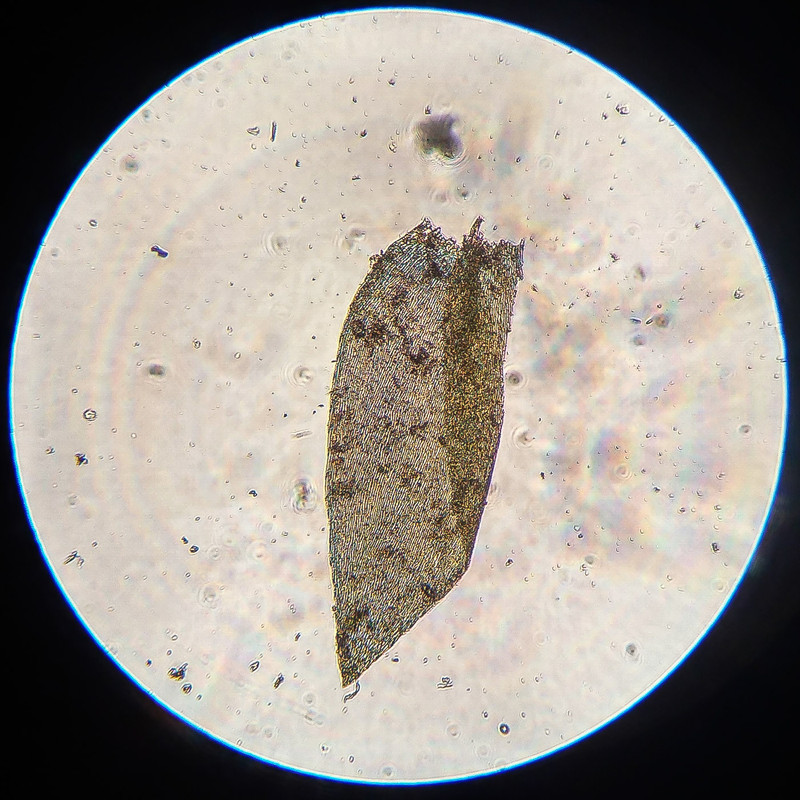 IMG 20250616 220312 HDR