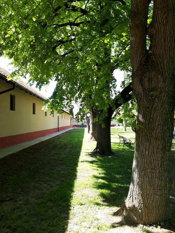 Slika