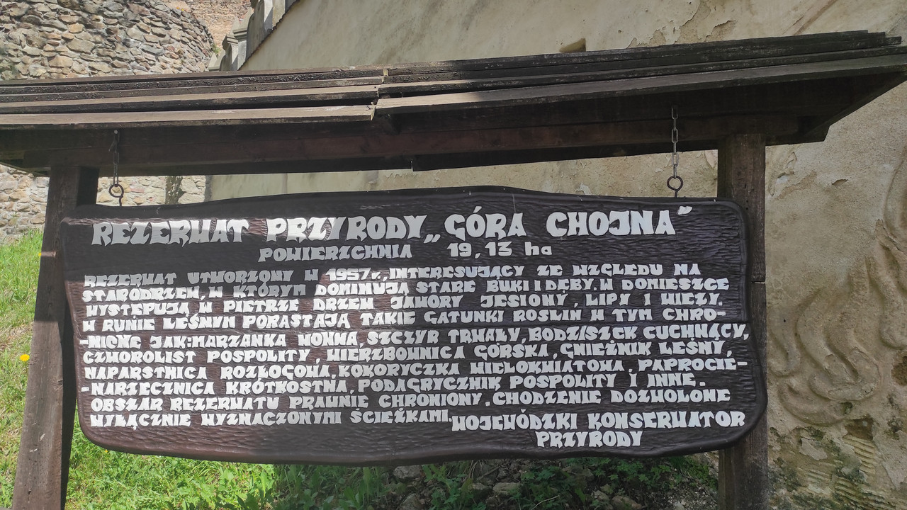 12.01 - IMG_20230501_134806 (Czesio1)