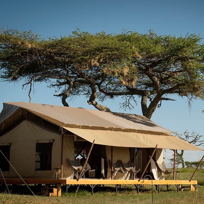 Serengeti Camp