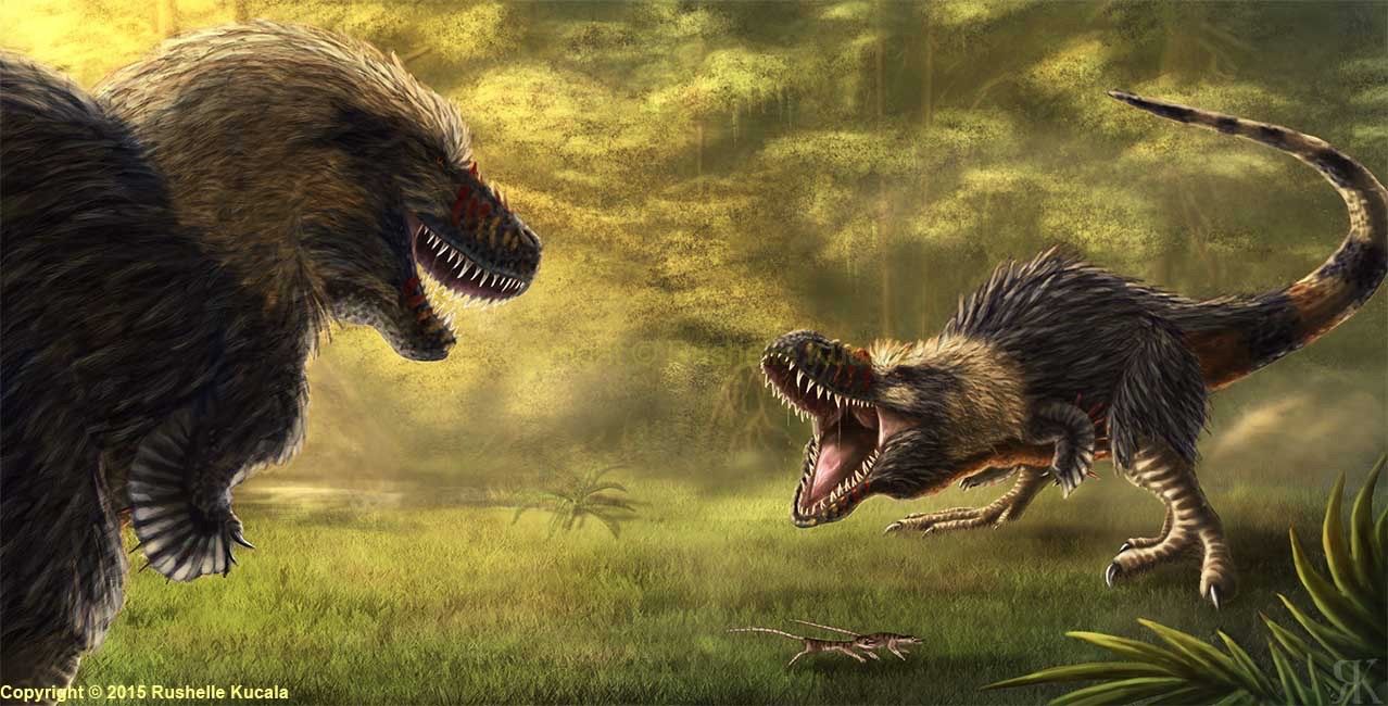 8596cdbaf91478a3fbc090711b96592f