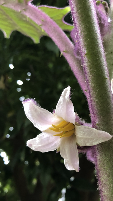 AD3E5AA3-DC65-432C-B167-35E5EA7CC224