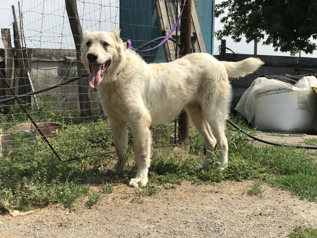 2BBB4A14-4166-43FF-B604-348CA0422A49