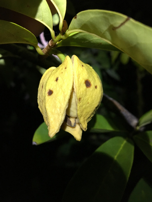 E70EC31C-4A7A-4036-885A-694148FBF13F