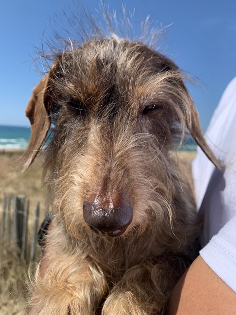 [Image: IMG-6871.jpg]