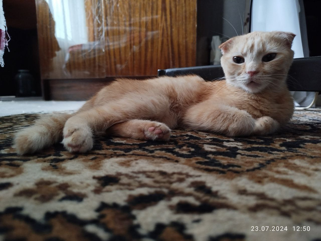 photo_2024-07-23_12-51-07