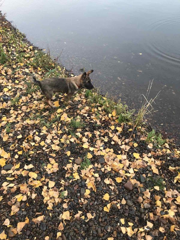 IMG-4c8e015dc008ba1fd2d28183e5b3560a-V