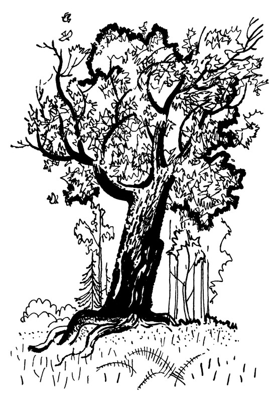 p0011