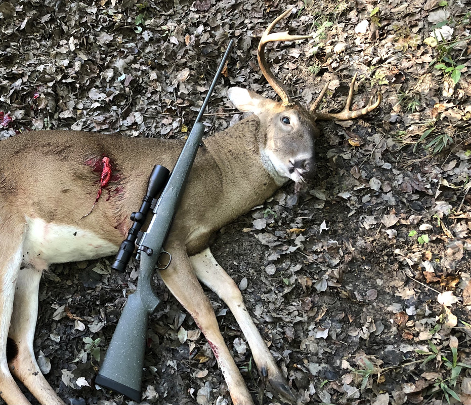 44BC944F-2223-4B5F-9804-759442EFAB56