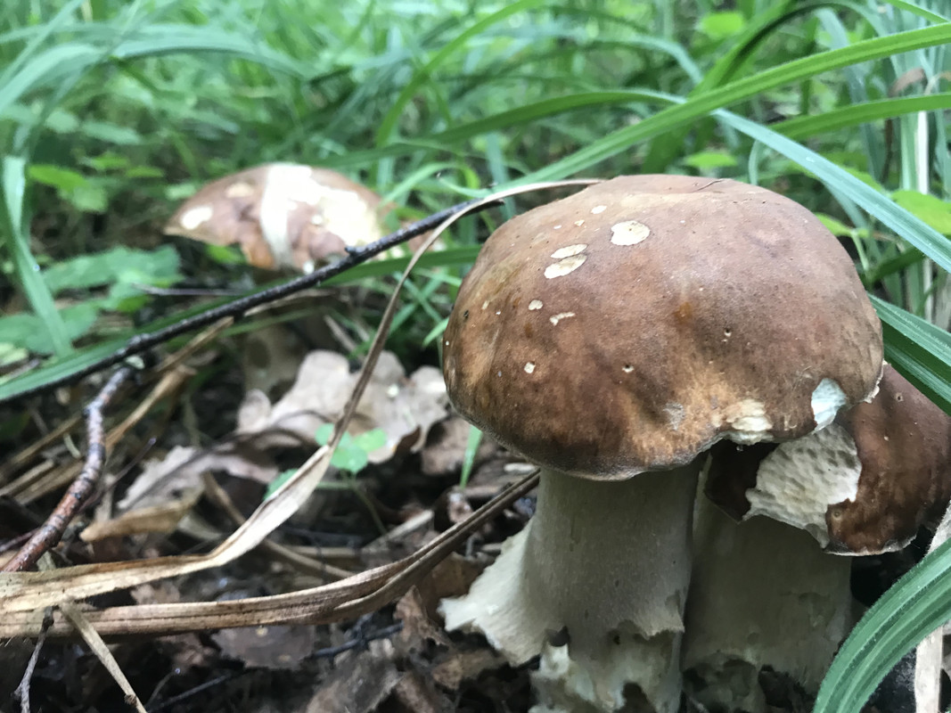 63B5059C-E881-47F0-AAE7-9C6056D805AC