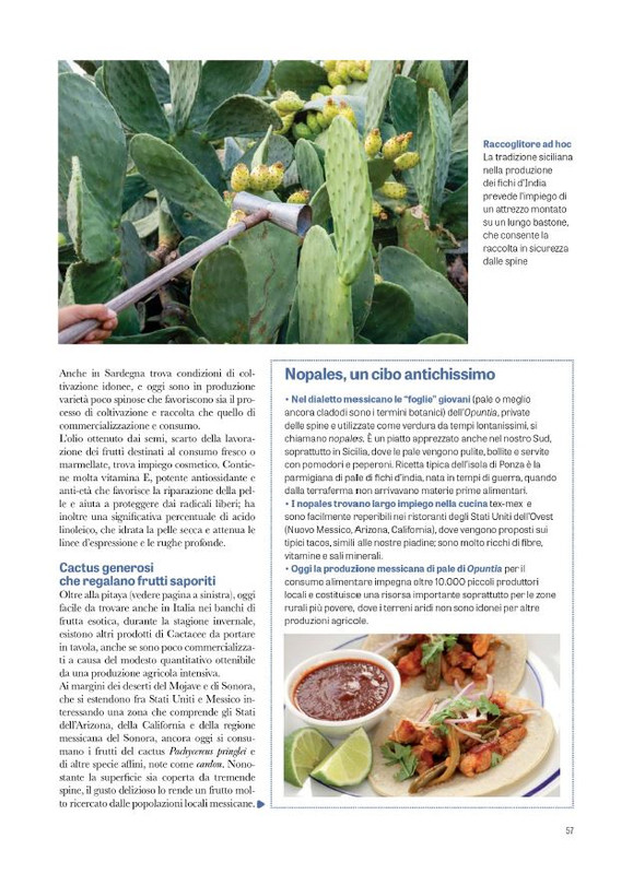 Pol Ver Spec Giu-Lug 2024 (8)