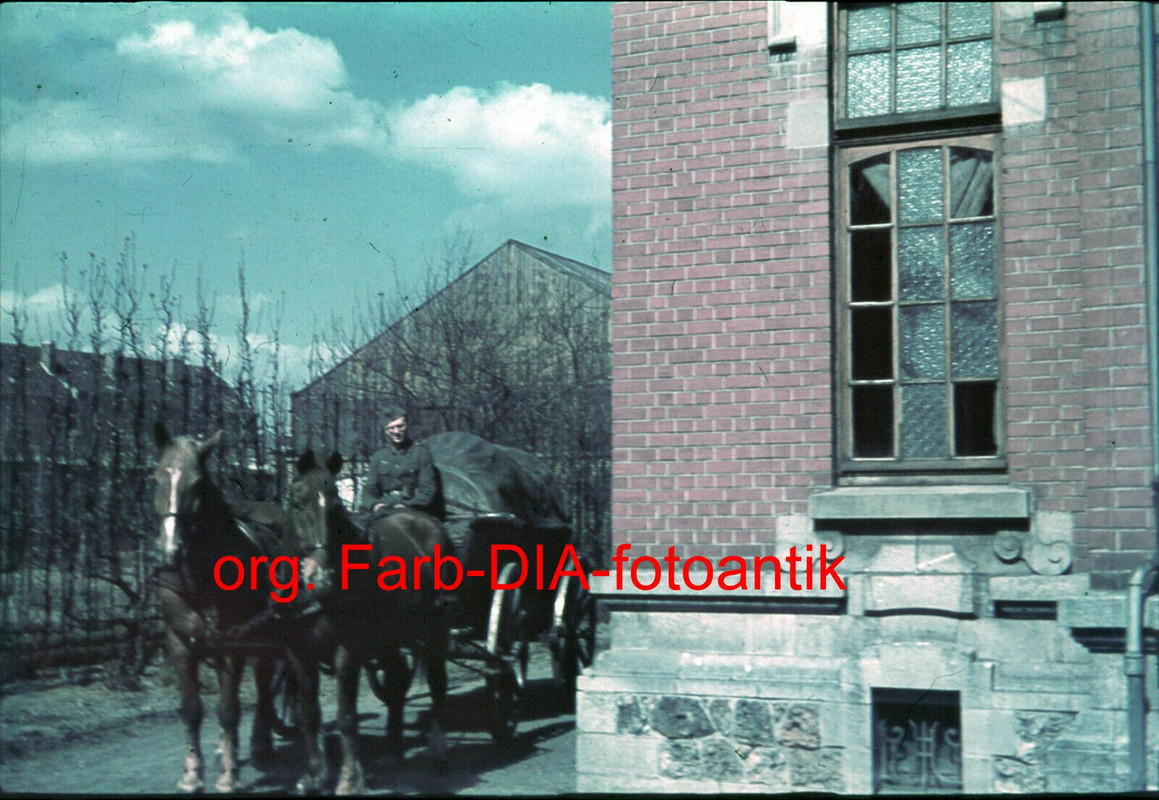 Foto 2WK org. Farb DIA Frankreich WH Pferde Fuhrwerk mit Soldat Top