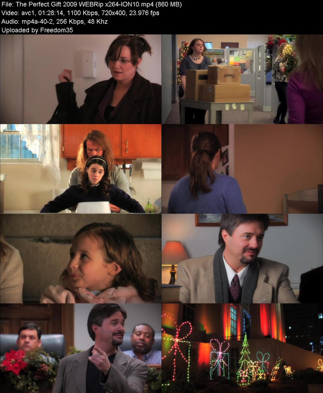 The-Perfect-Gift-2009-WEBRip-x264-ION10.