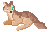 ein