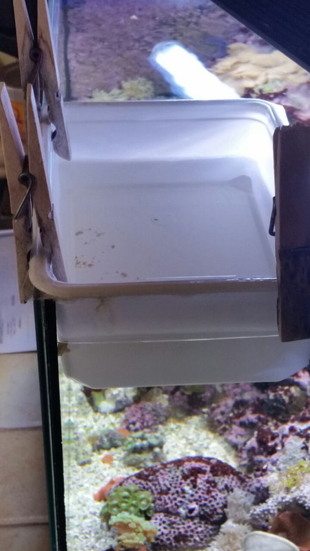 ApmsLGVeJ4QU5qtQ7cZ1EkP24NKSmoCLKxLk-0hboCfn