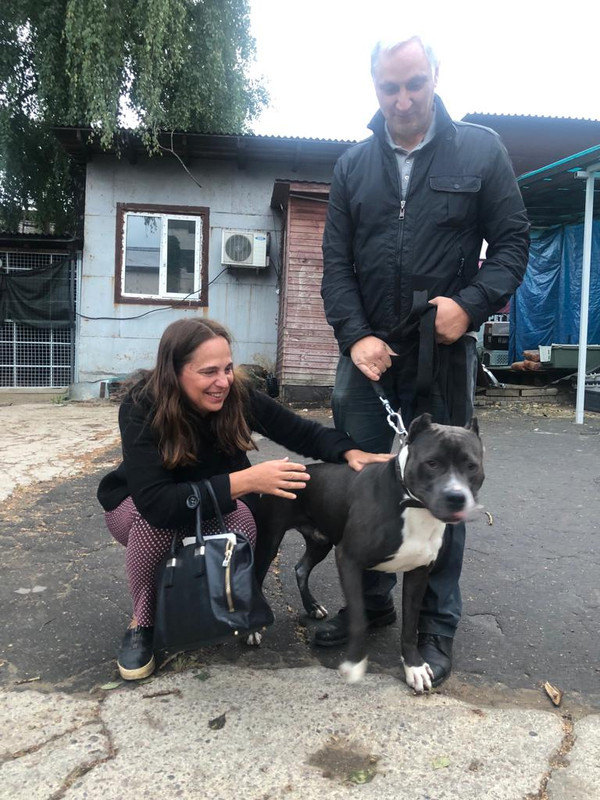 ADDA9B87-E72C-4A7C-A3A1-8793EF5BB8D2