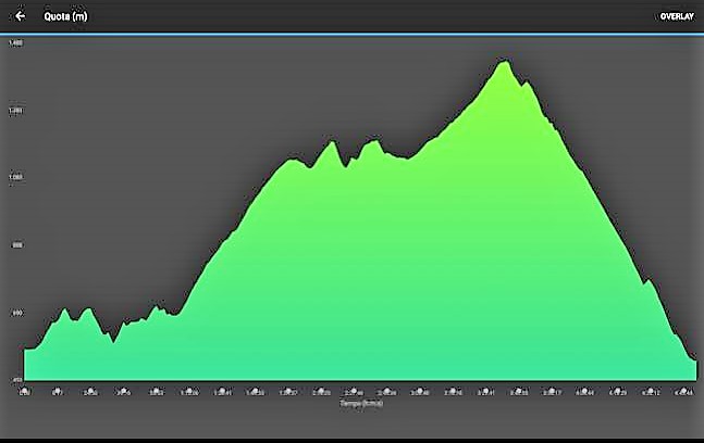 52922898_1193029524204908_4773908651184226304_n