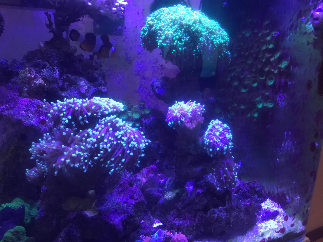 A3CBB965-527D-44EE-8913-AF222B9431A3