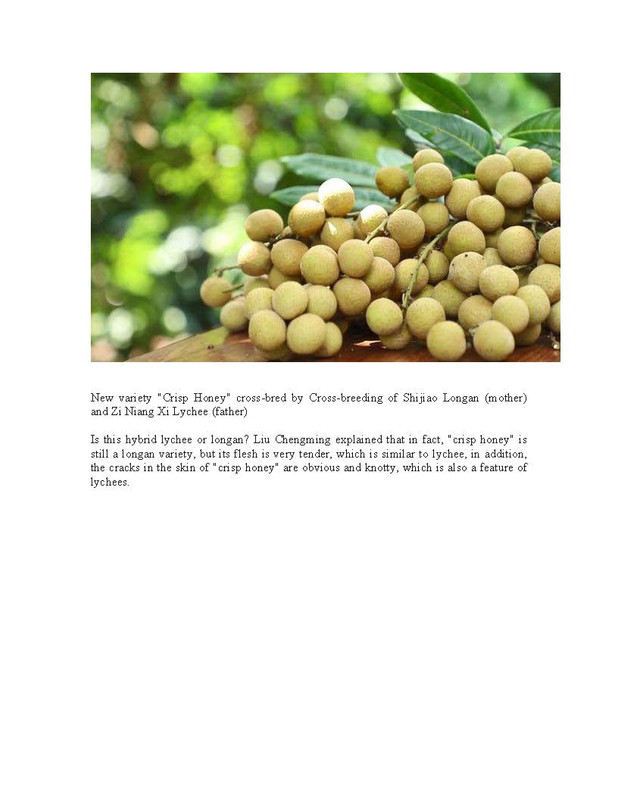 Hybrid_Longan(pdf)_Page_3