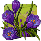 spring1.png