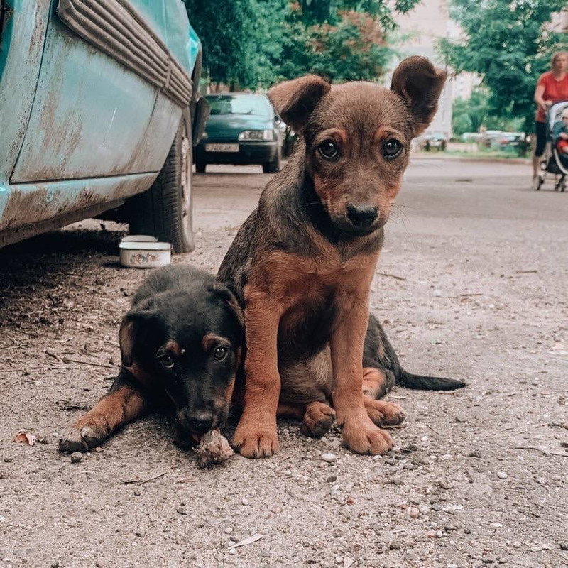 29399994-5664-4682-84A4-58BCA7DD5EE9