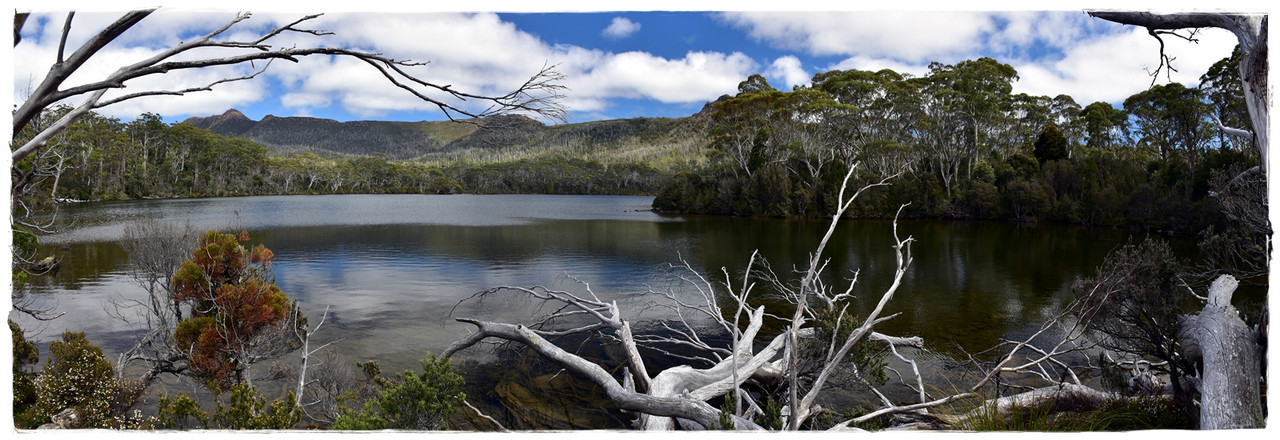 Lake St Clair National Park - Australia (II): Recorriendo Tasmania (10)