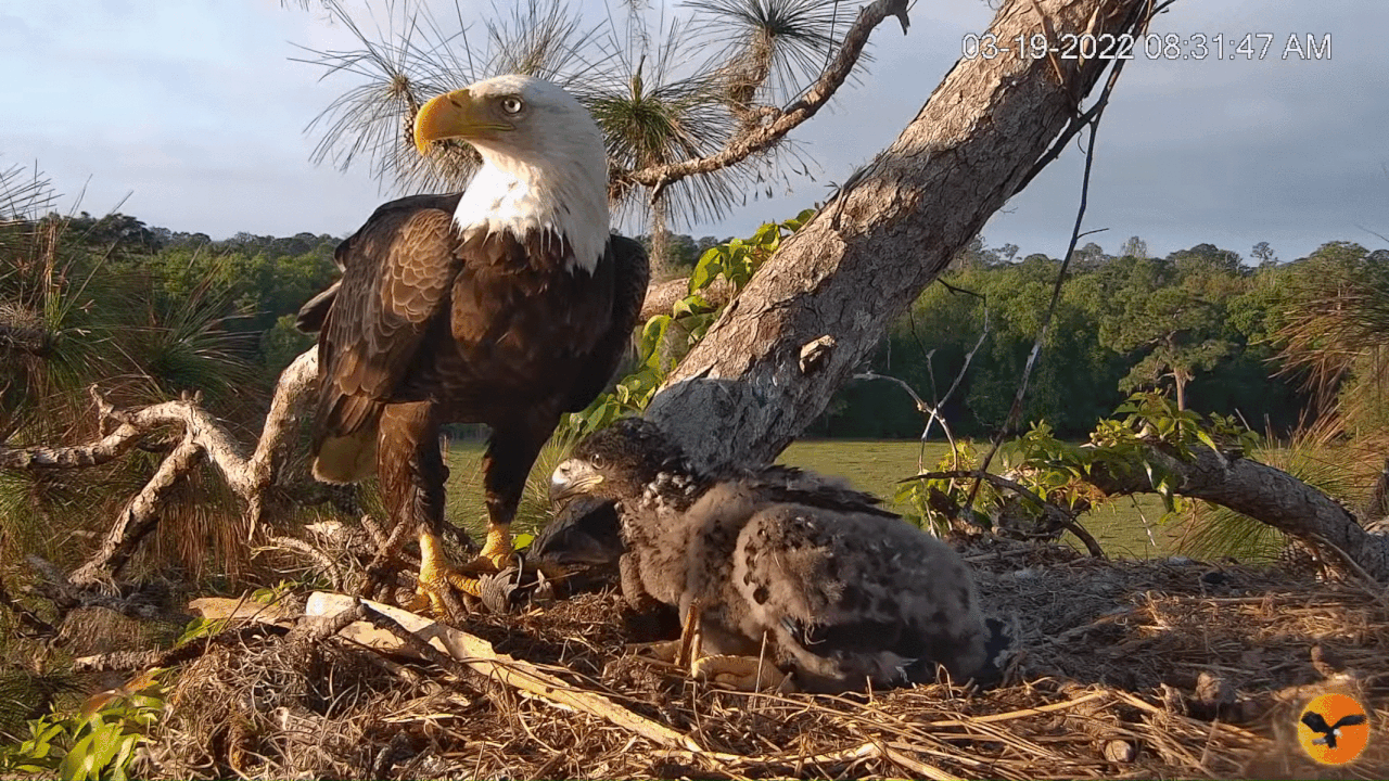 Webp.net-gifmaker (6)