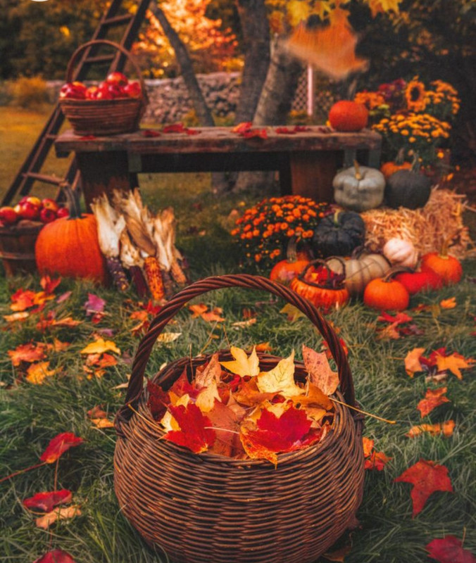 Screenshot_20221226_235123_Chrome