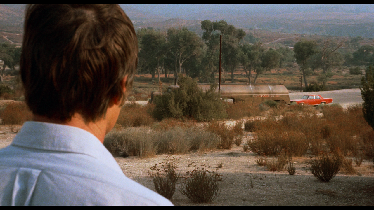 00800.mpls_snapshot_01.08.46_[2023.11.23_19.31.38]