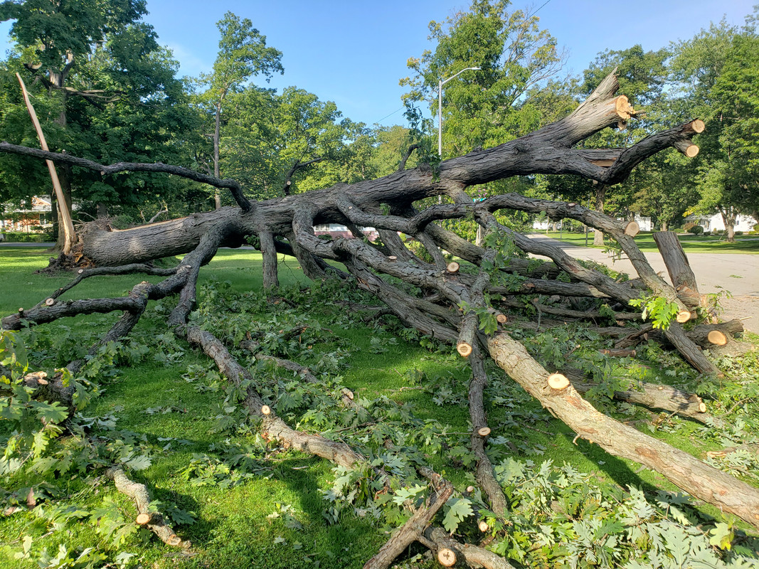 20190830_095757