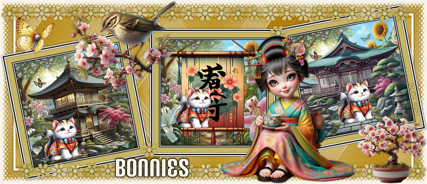 Peque Asiatica bonnies