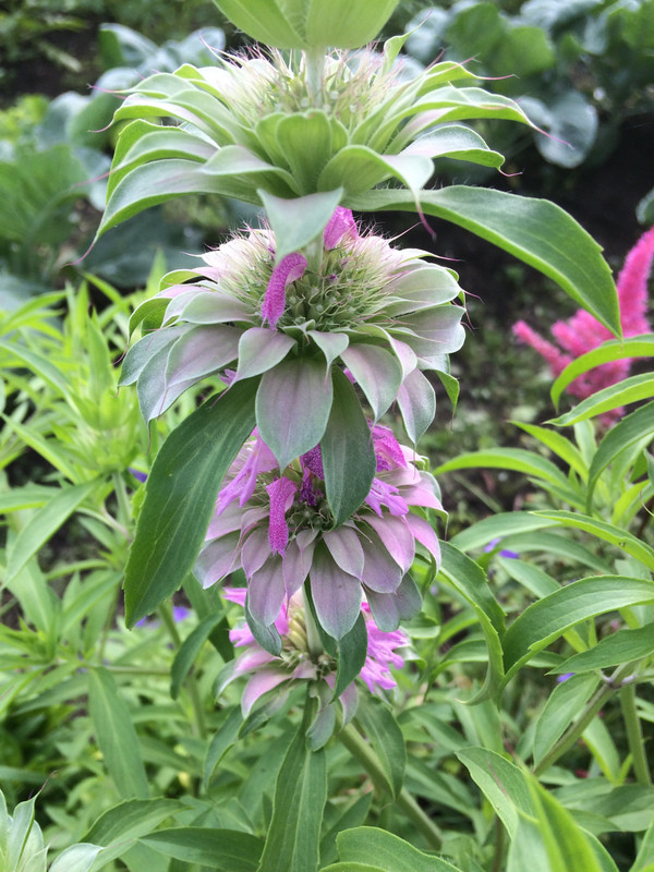 E2961289-CA13-4E11-8996-DE5DC62DF01F