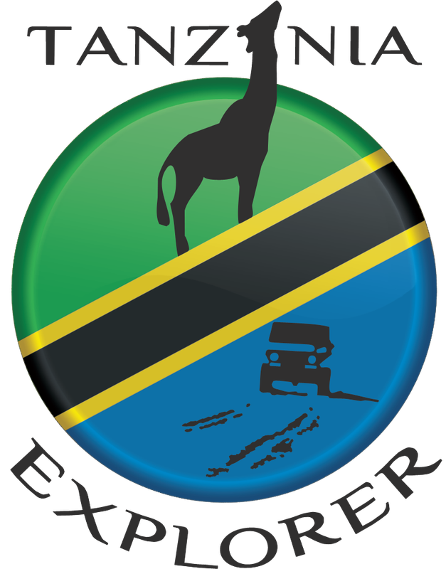 Tanzania Explorer