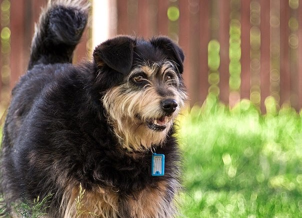 2E97B9A3-AEB3-4427-A61A-5680A3DAC52C