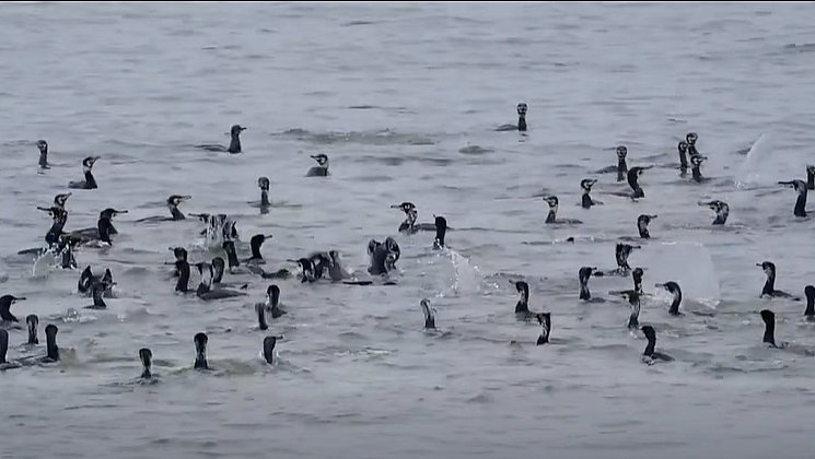 κοζάνη, ειδήσεις, νέα, Πτολεμαΐδα