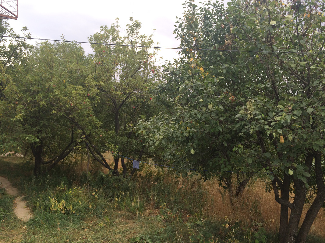 D3C694B0-972E-4FFD-9411-E0D94C393E15