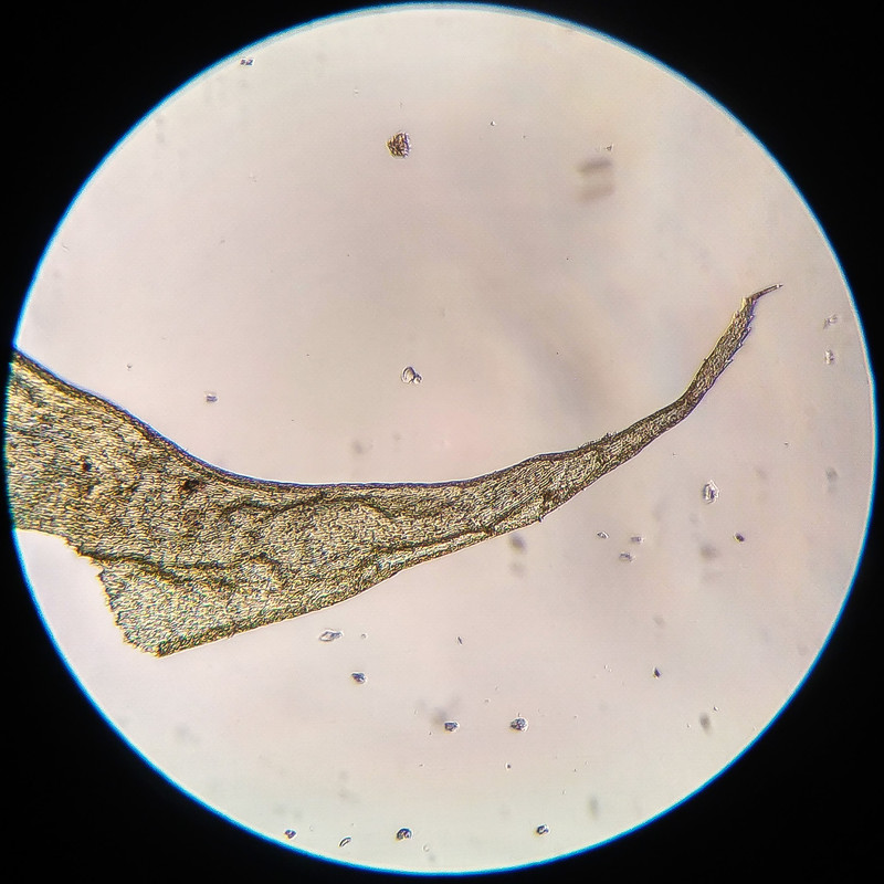 IMG 20250616 212223 HDR