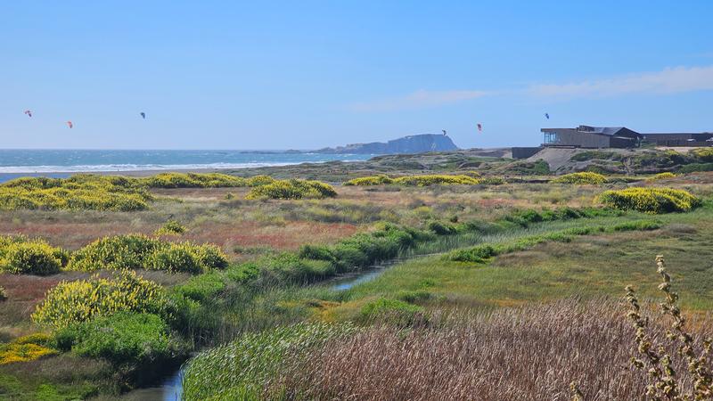 Humedal y vegetación costera de Pupuya con el mar al fondo